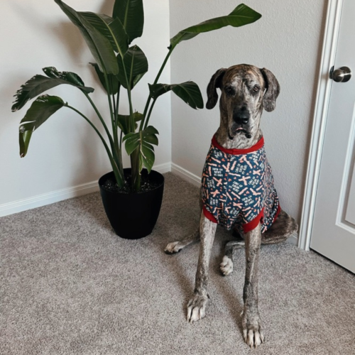 The Dior Files: What We’ve Used (and Why) to Support His Body