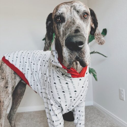 June 2, 2025 – Surgery Scheduled!