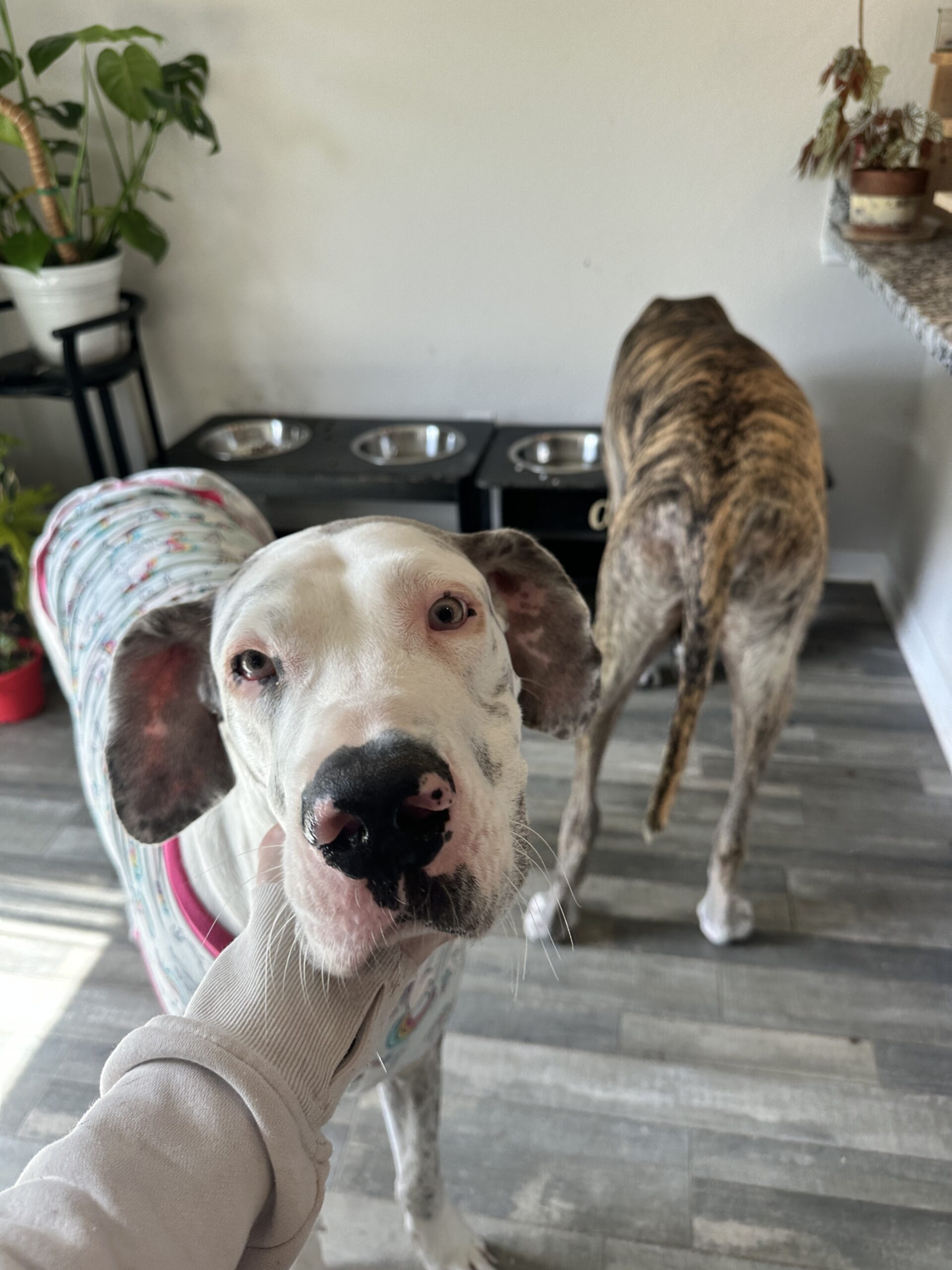 May 12th, 2025 – First Oncology Appointment