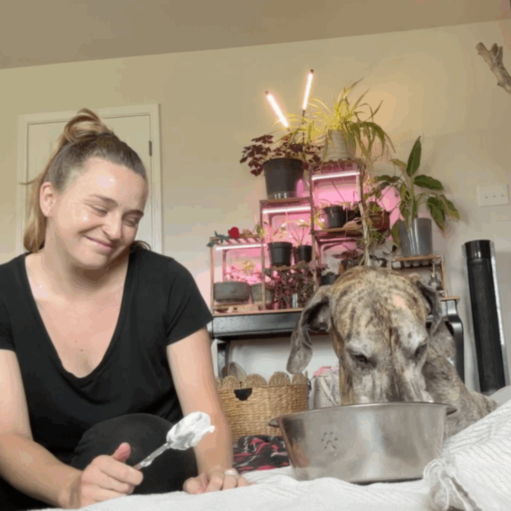 Haley feeding homemade pupcup to her recovering Great Dane with houseplants in the background
