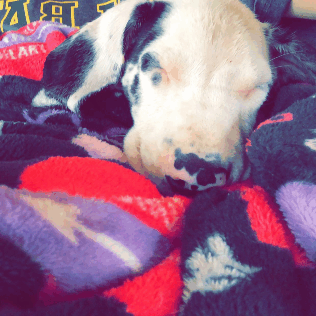 Young Dymond wrapped in colorful blankets, looking cozy and sleepy