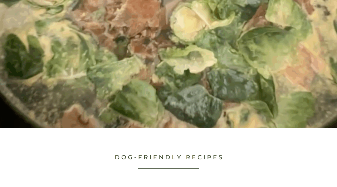 Homemade Bone Broth for Dogs: My Everyday Recipe