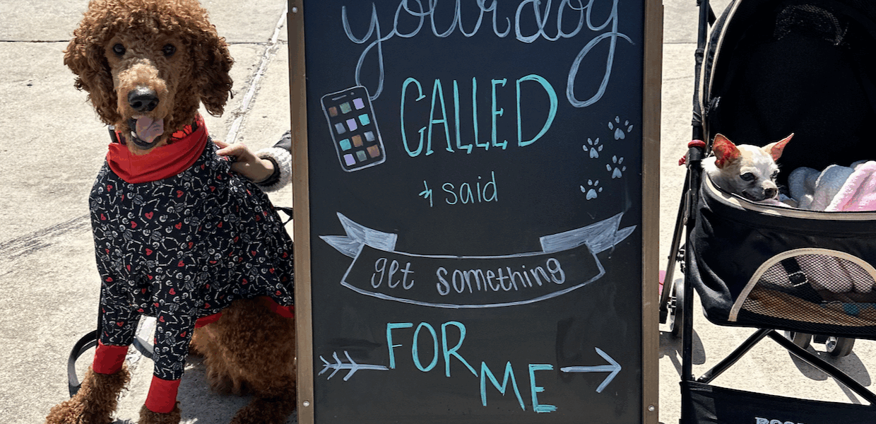 5 Ways to Be Successful at a Vendor Market (Without Feeling “Salesy”)